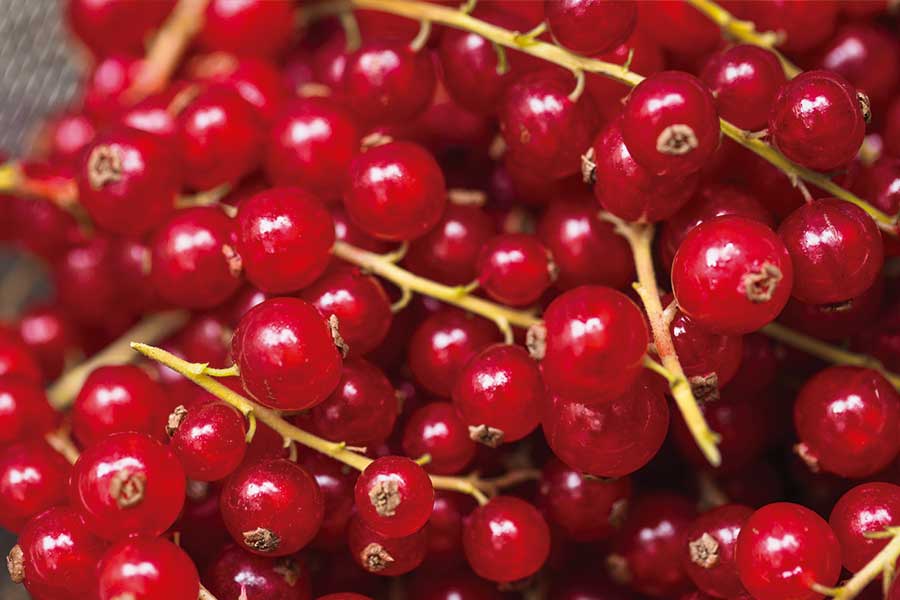 Alimentos para asumir el hierro