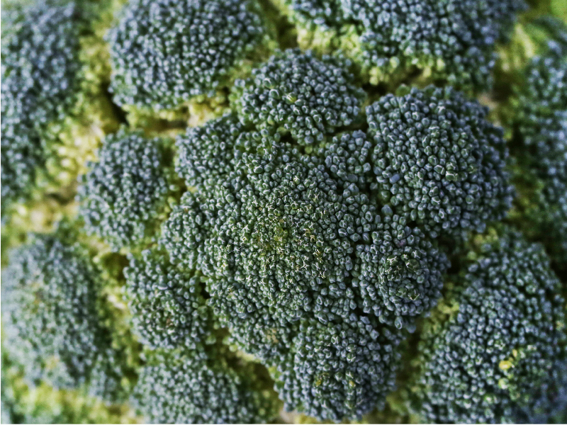 Alimentos saludables para la cuarentena