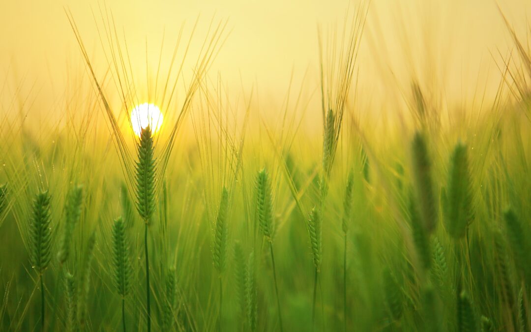 Los beneficios del sol en nuestra piel