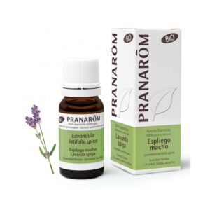 Espliego macho - 10 ml Sumidad florida