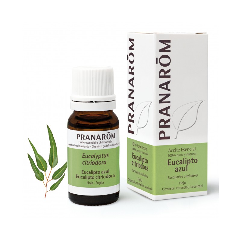 EUCALIPTO AZUL 10ML PRANAROM