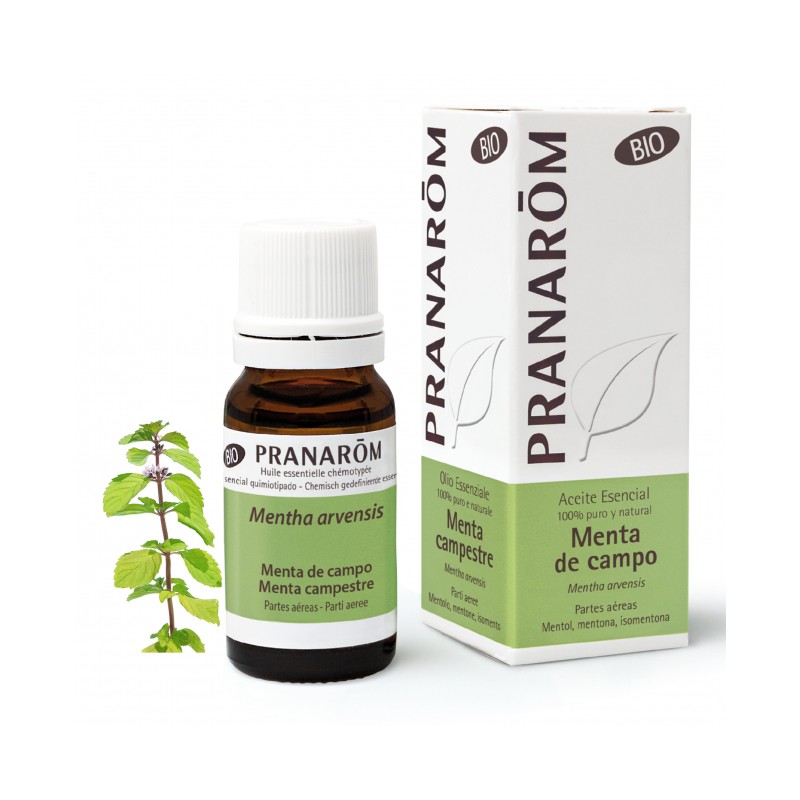 MENTA DEL CAMPO 10ML PRANAROM